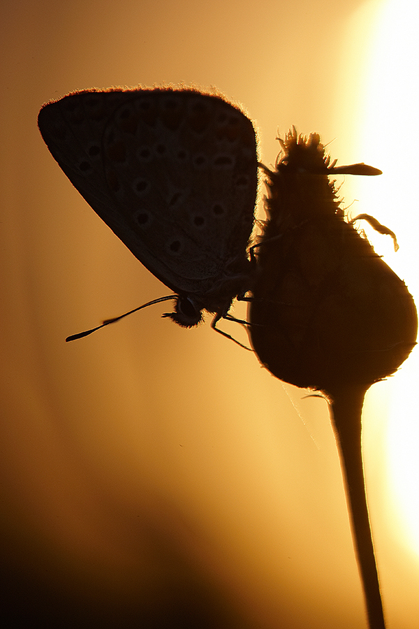 End of day
