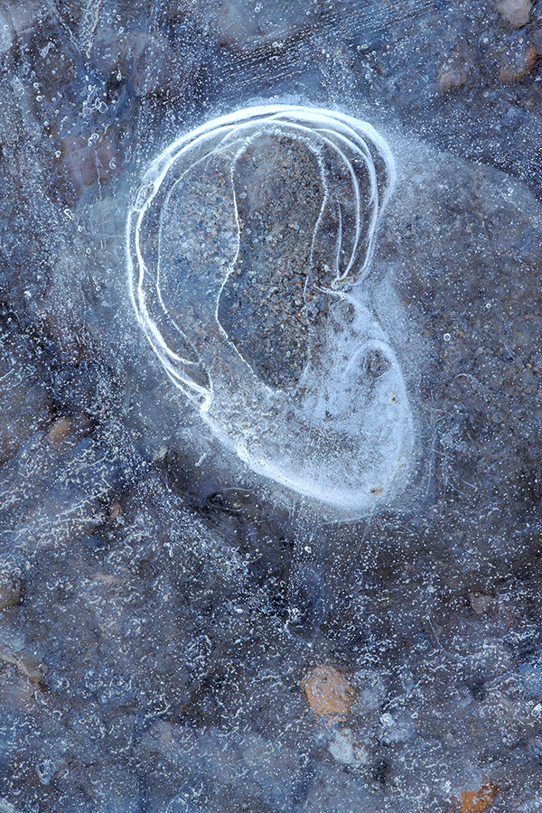 Eiskristalle