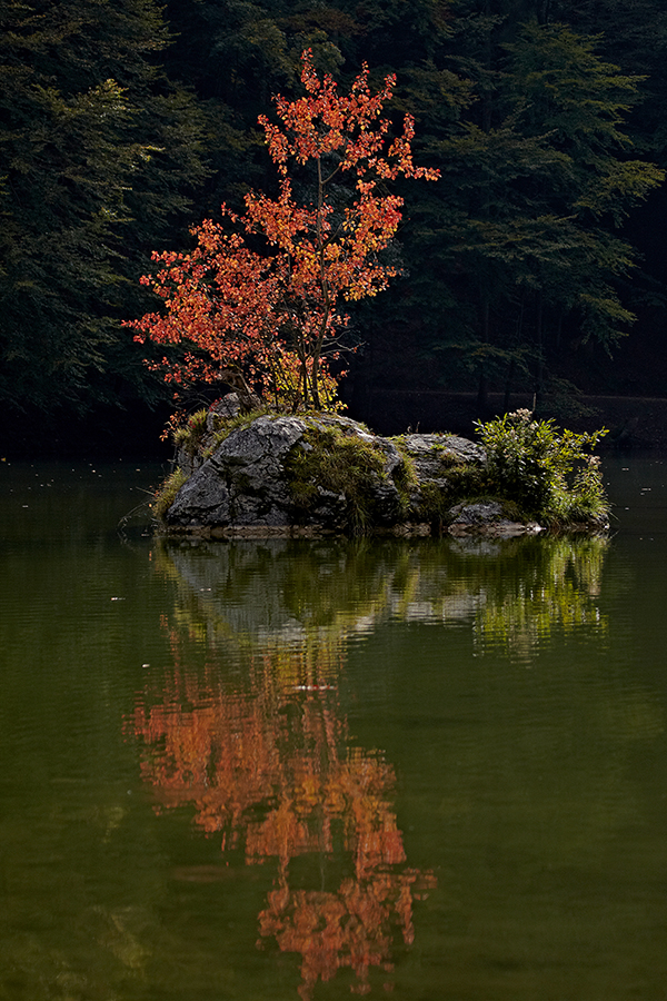 Herbst
