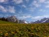 Walder Alm
