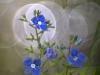 Gamander-Ehrenpreis (Veronica chamaedrys),