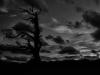 Abendrot